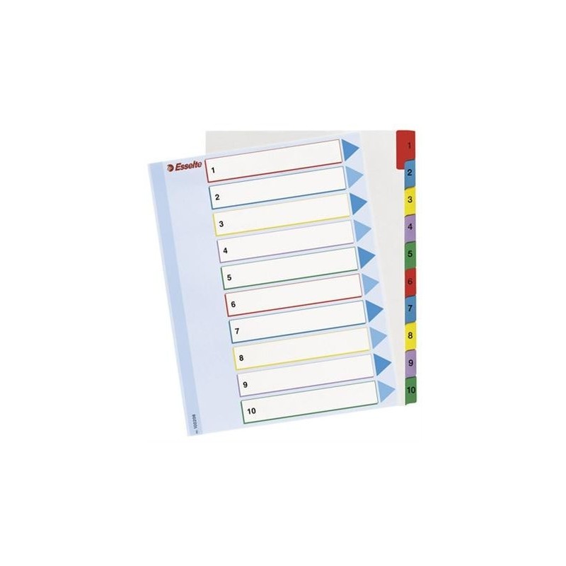 PRZEKŁADKA NUMER A4 1/10 MAXI MYLAR KARTONOWA Z LAMINOWANĄ KARTĄ OPISOWĄ ESSELTE ***100208*