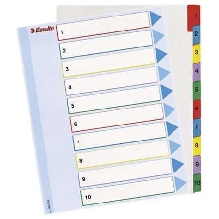 PRZEKŁADKA NUMER A4 1/10 MAXI MYLAR KARTONOWA Z LAMINOWANĄ KARTĄ OPISOWĄ ESSELTE ***100208*