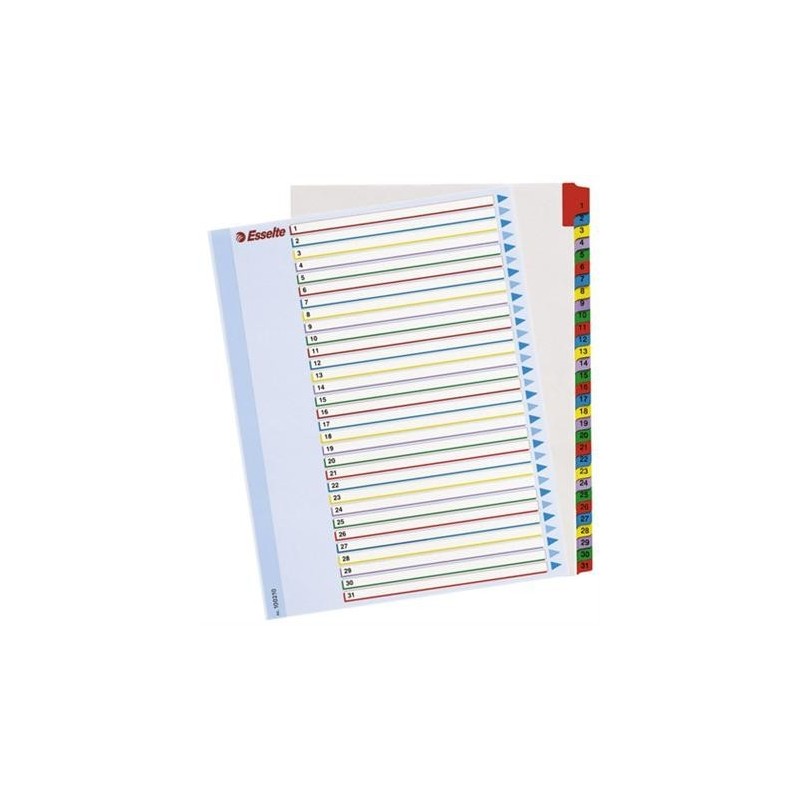 PRZEKŁADKA NUMER A4 1/31 MAXI MYLAR KARTONOWA Z LAMINOWANĄ KARTĄ OPISOWĄ ESSELTE ***100210*