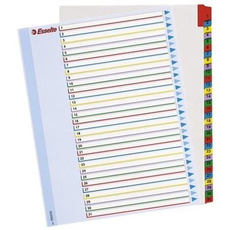 PRZEKŁADKA NUMER A4 1/31 MAXI MYLAR KARTONOWA Z LAMINOWANĄ KARTĄ OPISOWĄ ESSELTE ***100210*
